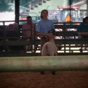 Meet your Posher, Mckenzey